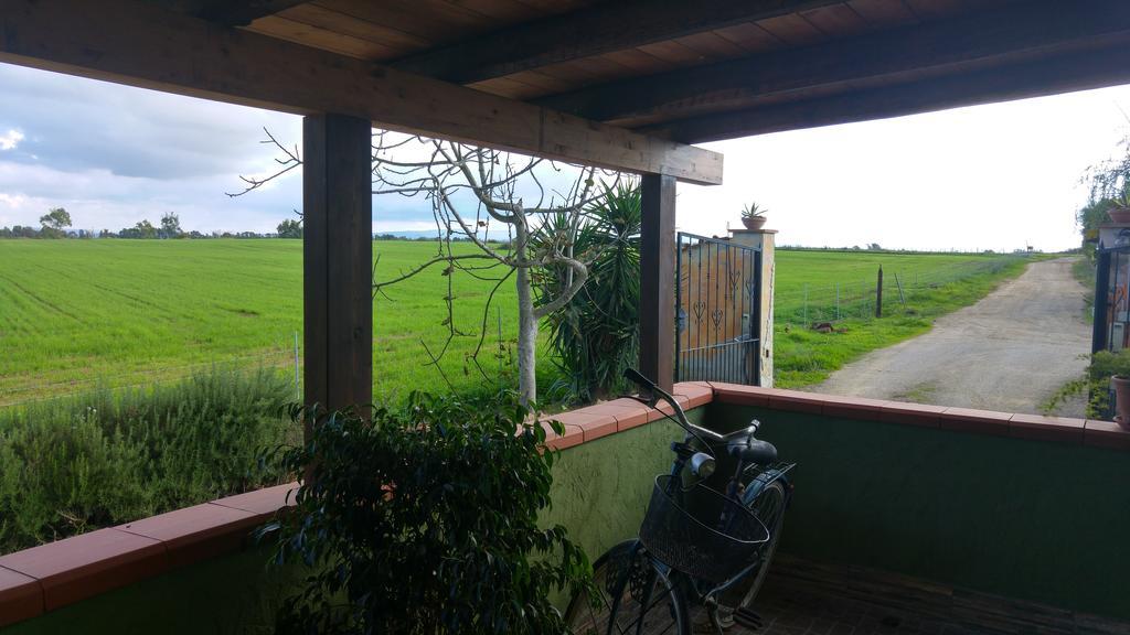 Appartamento Il Salice Casa Minnina エクステリア 写真